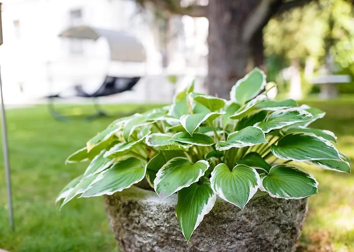 Luttwitz Appartement